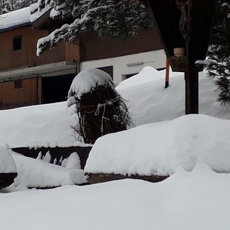 Appartement Wildkogelblick Neukirchen am Großvenediger Eksteriør bilde