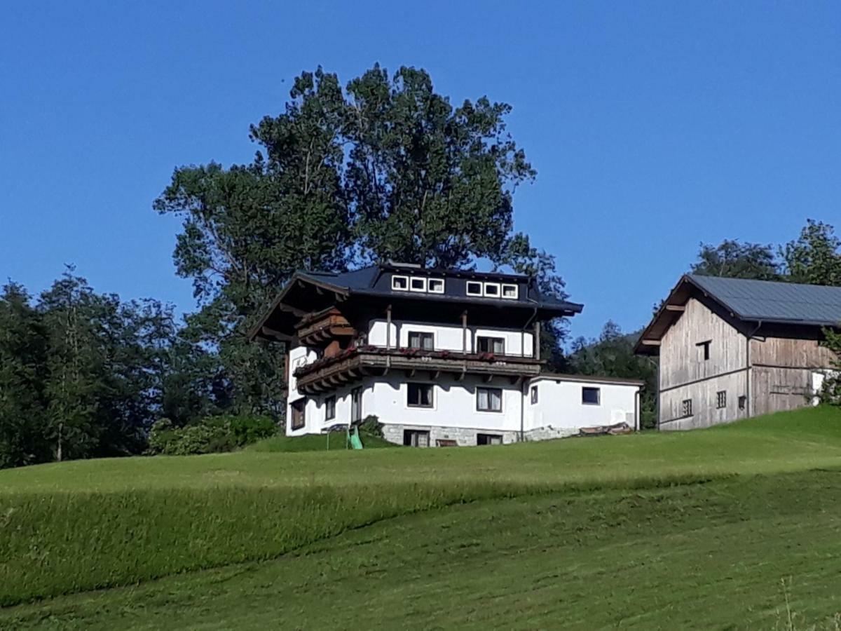 Appartement Wildkogelblick Neukirchen am Großvenediger Eksteriør bilde